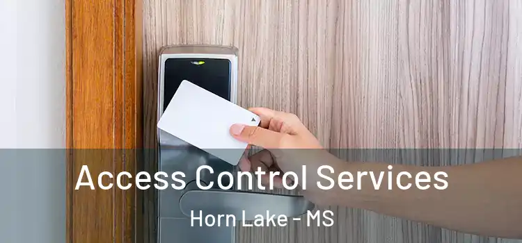 Access Control Services Horn Lake - MS