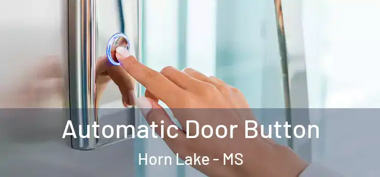 Automatic Door Button Horn Lake - MS