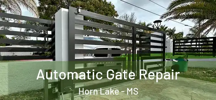 Automatic Gate Repair Horn Lake - MS
