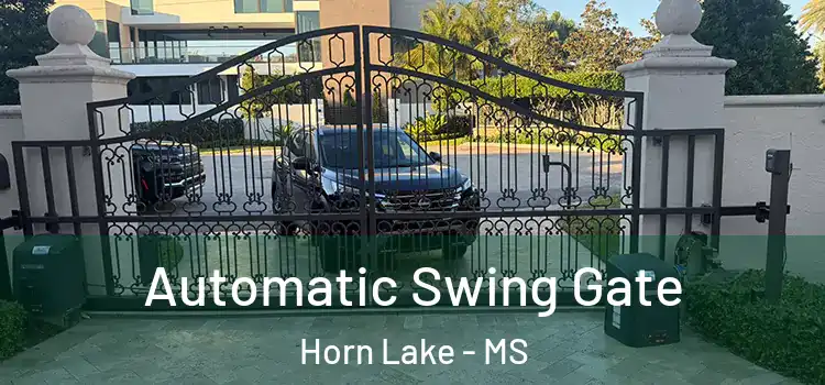 Automatic Swing Gate Horn Lake - MS