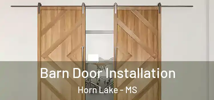  Barn Door Installation Horn Lake - MS