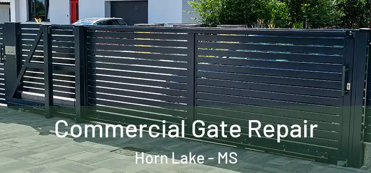 Commercial Gate Repair Horn Lake - MS