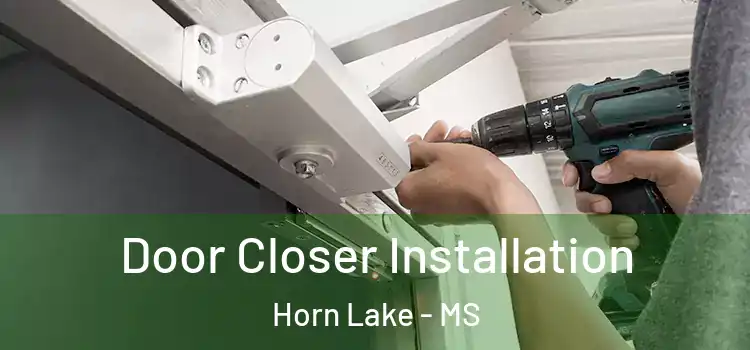 Door Closer Installation Horn Lake - MS