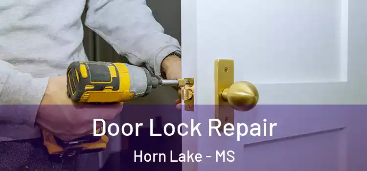 Door Lock Repair Horn Lake - MS