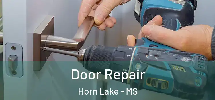 Door Repair Horn Lake - MS