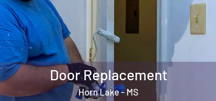 Door Replacement Horn Lake - MS