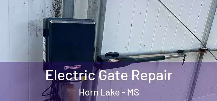 Electric Gate Repair Horn Lake - MS
