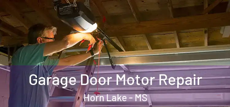  Garage Door Motor Repair Horn Lake - MS