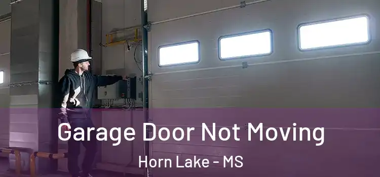  Garage Door Not Moving Horn Lake - MS