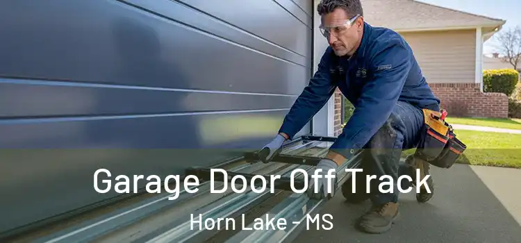  Garage Door Off Track Horn Lake - MS