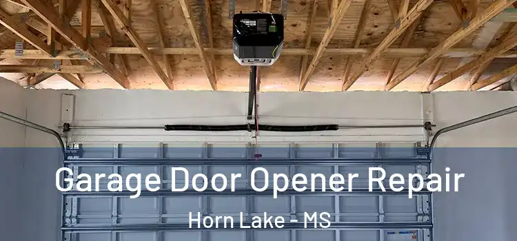  Garage Door Opener Repair Horn Lake - MS