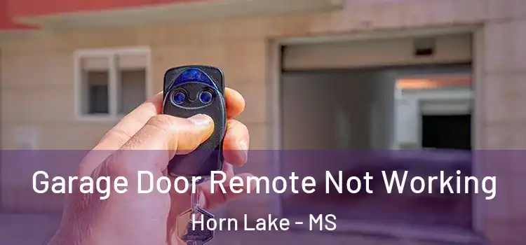  Garage Door Remote Not Working Horn Lake - MS