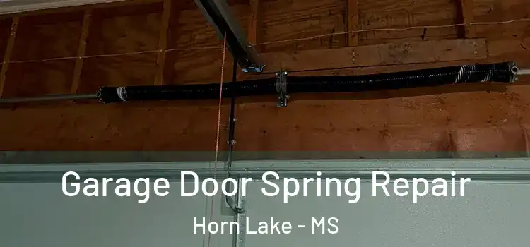 Garage Door Spring Repair Horn Lake - MS