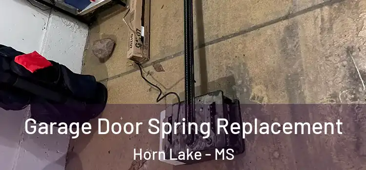  Garage Door Spring Replacement Horn Lake - MS