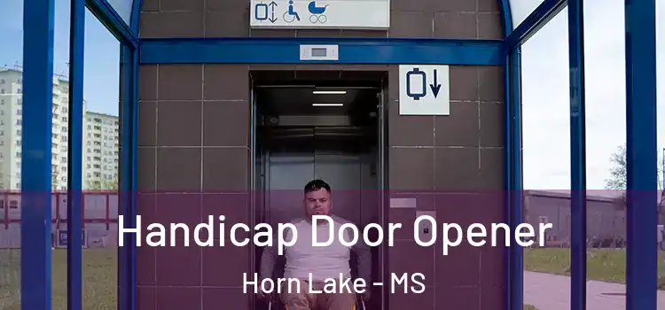 Handicap Door Opener Horn Lake - MS