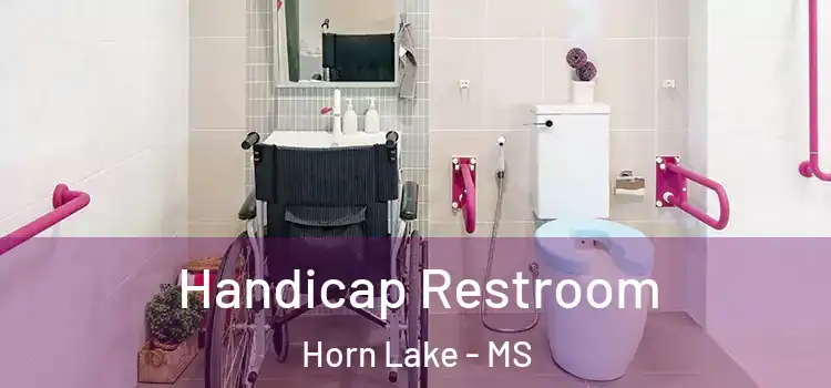 Handicap Restroom Horn Lake - MS