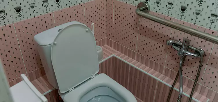 Meeting Diverse Needs With Accessible Restroom Solutions in Horn Lake, MS