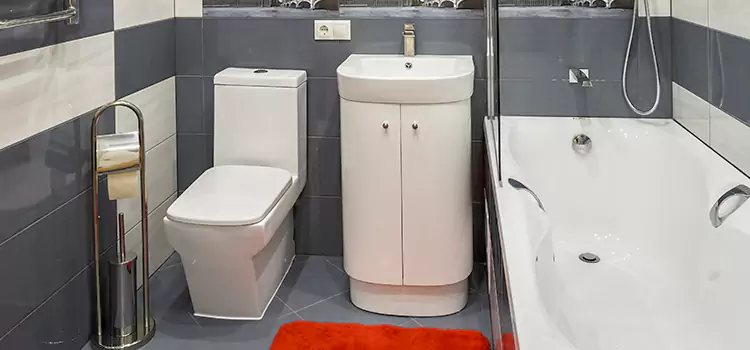 Hansgrohe Shaving Mirror Horn Lake