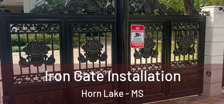  Iron Gate Installation Horn Lake - MS
