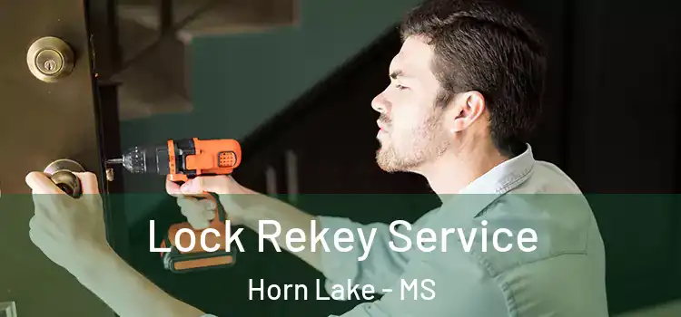 Lock Rekey Service Horn Lake - MS