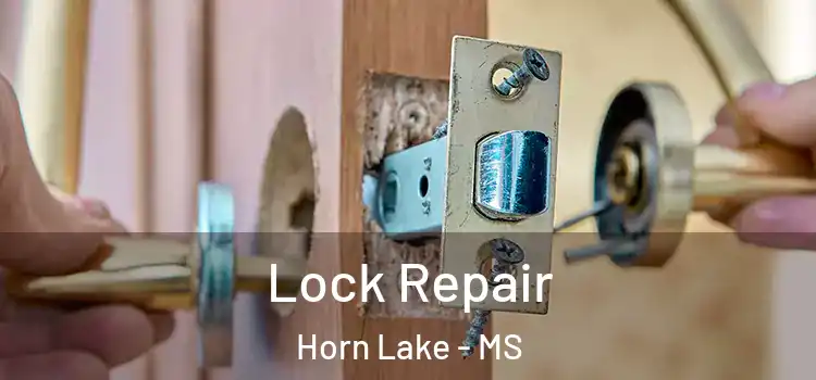  Lock Repair Horn Lake - MS