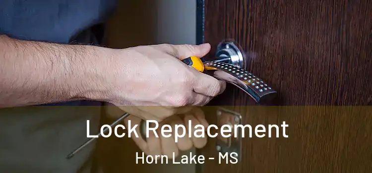 Lock Replacement Horn Lake - MS