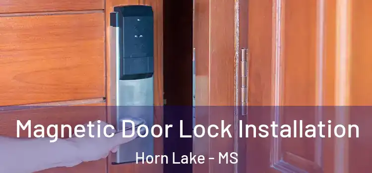  Magnetic Door Lock Installation Horn Lake - MS