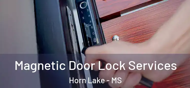  Magnetic Door Lock Services Horn Lake - MS