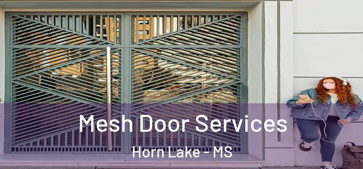  Mesh Door Services Horn Lake - MS