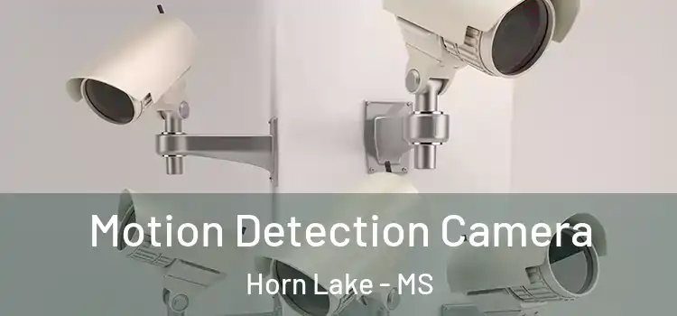  Motion Detection Camera Horn Lake - MS