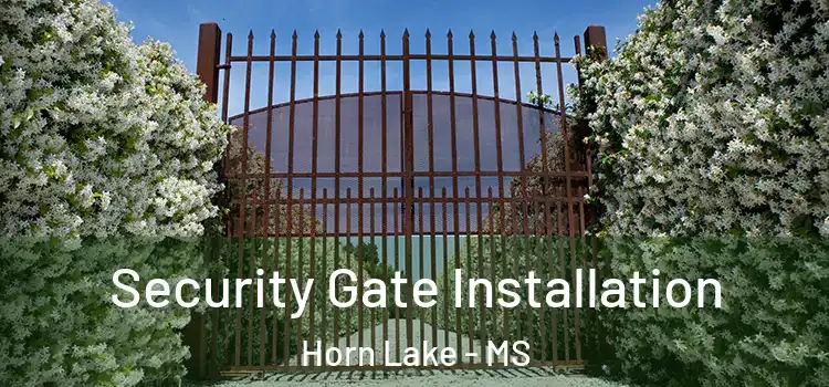 Security Gate Installation Horn Lake - MS
