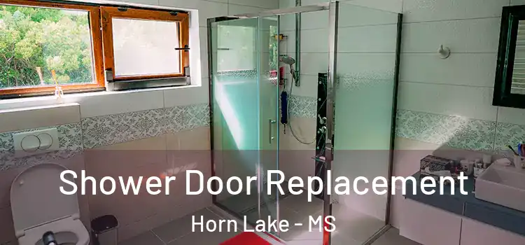 Shower Door Replacement Horn Lake - MS
