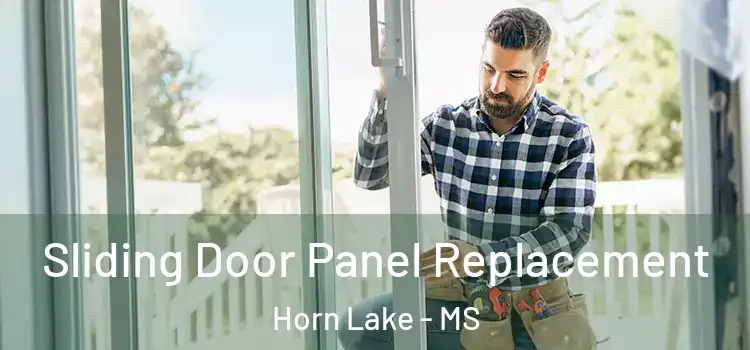  Sliding Door Panel Replacement Horn Lake - MS