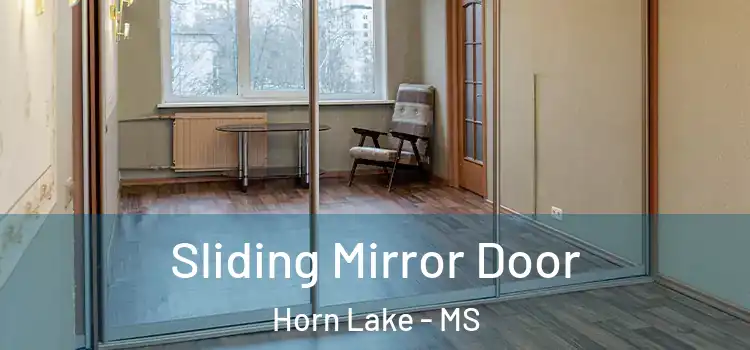  Sliding Mirror Door Horn Lake - MS