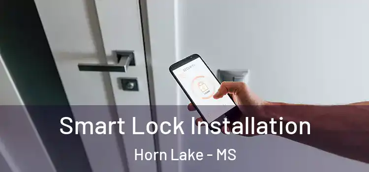 Smart Lock Installation Horn Lake - MS