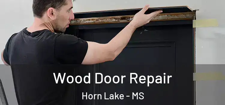 Wood Door Repair Horn Lake - MS